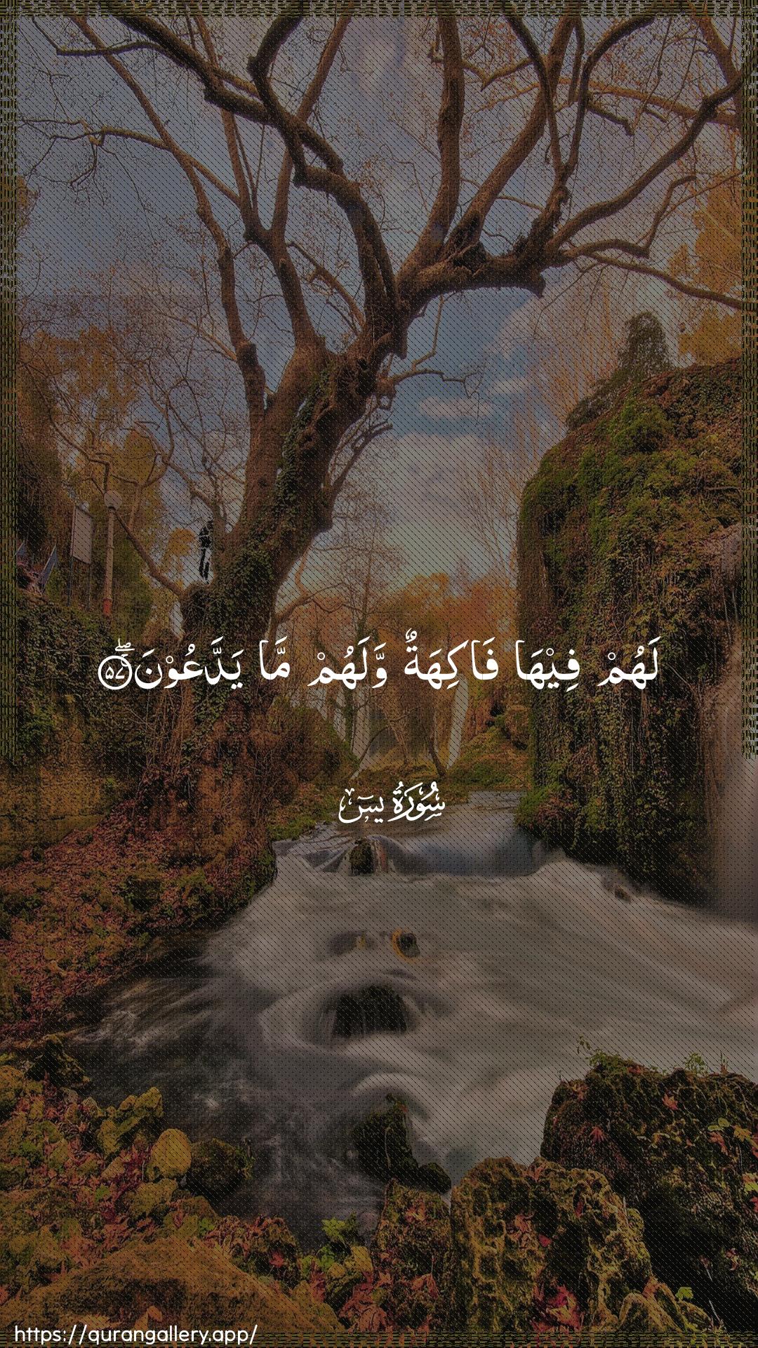 Surah Yaseen Ayah 57 of 36 HD Wallpaper: Download Beautiful vertical Quran Verse Image | Lahum feeha fakihatun walahumma yaddaAAoon