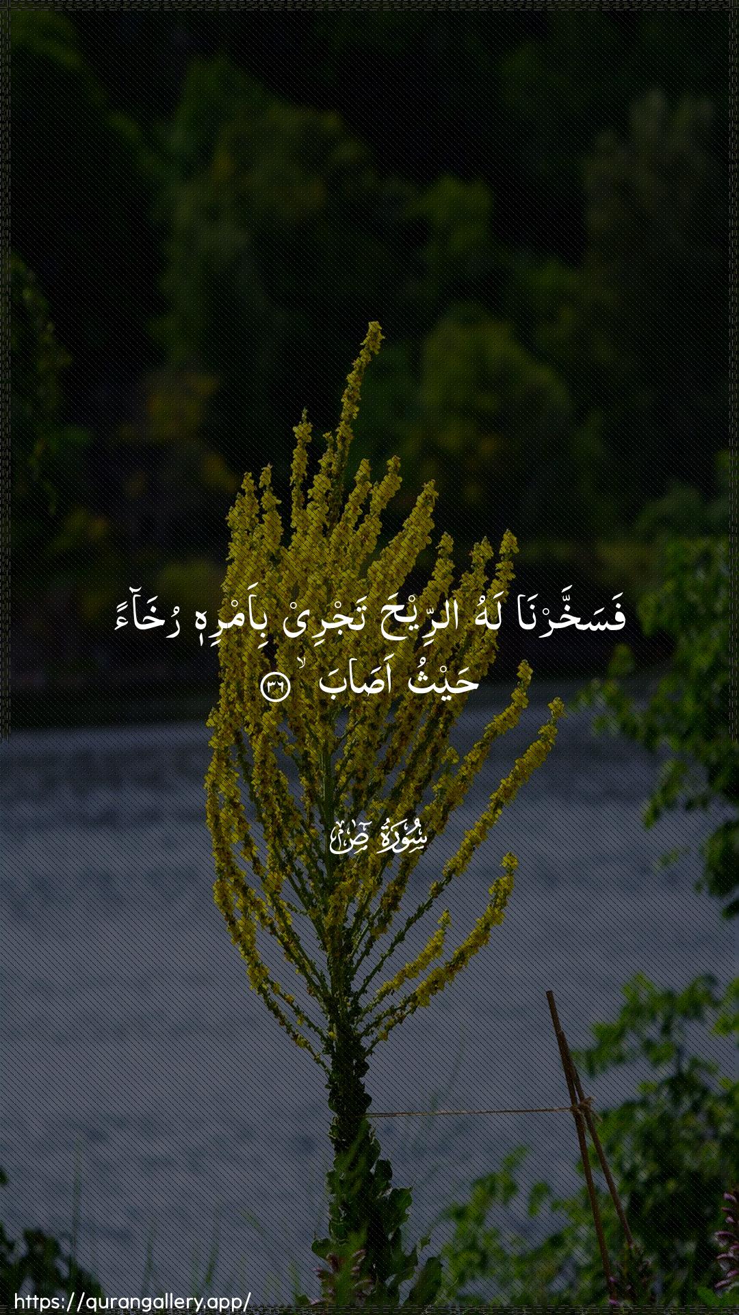 Surah Saad Ayah 36 of 38 HD Wallpaper: Download Beautiful vertical Quran Verse Image | Fasakhkharna lahu arreehatajree bi-amrihi rukhaan haythu asab