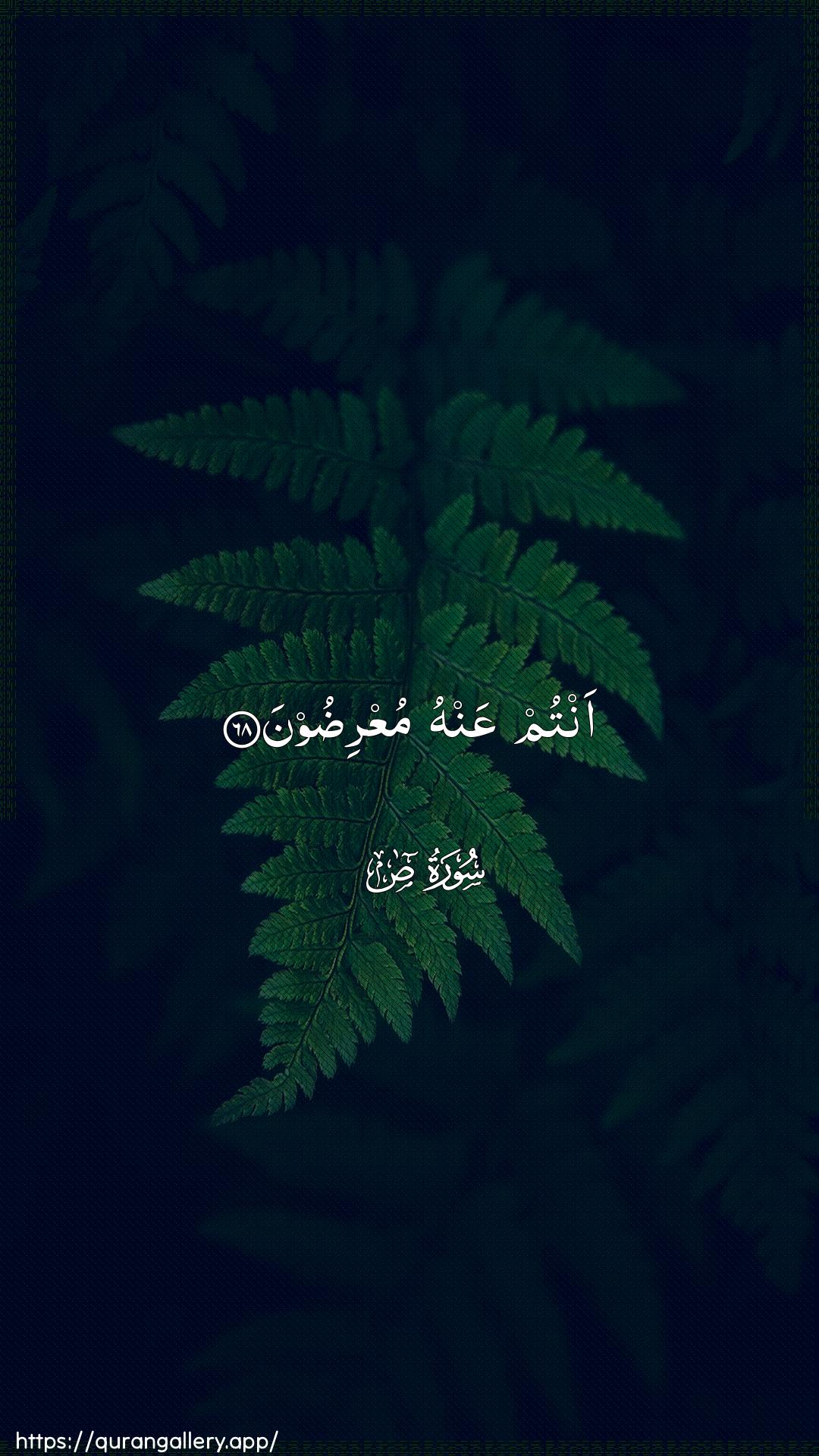 Surah Saad Ayah 68 of 38 HD Wallpaper: Download Beautiful vertical Quran Verse Image | Antum AAanhu muAAridoon