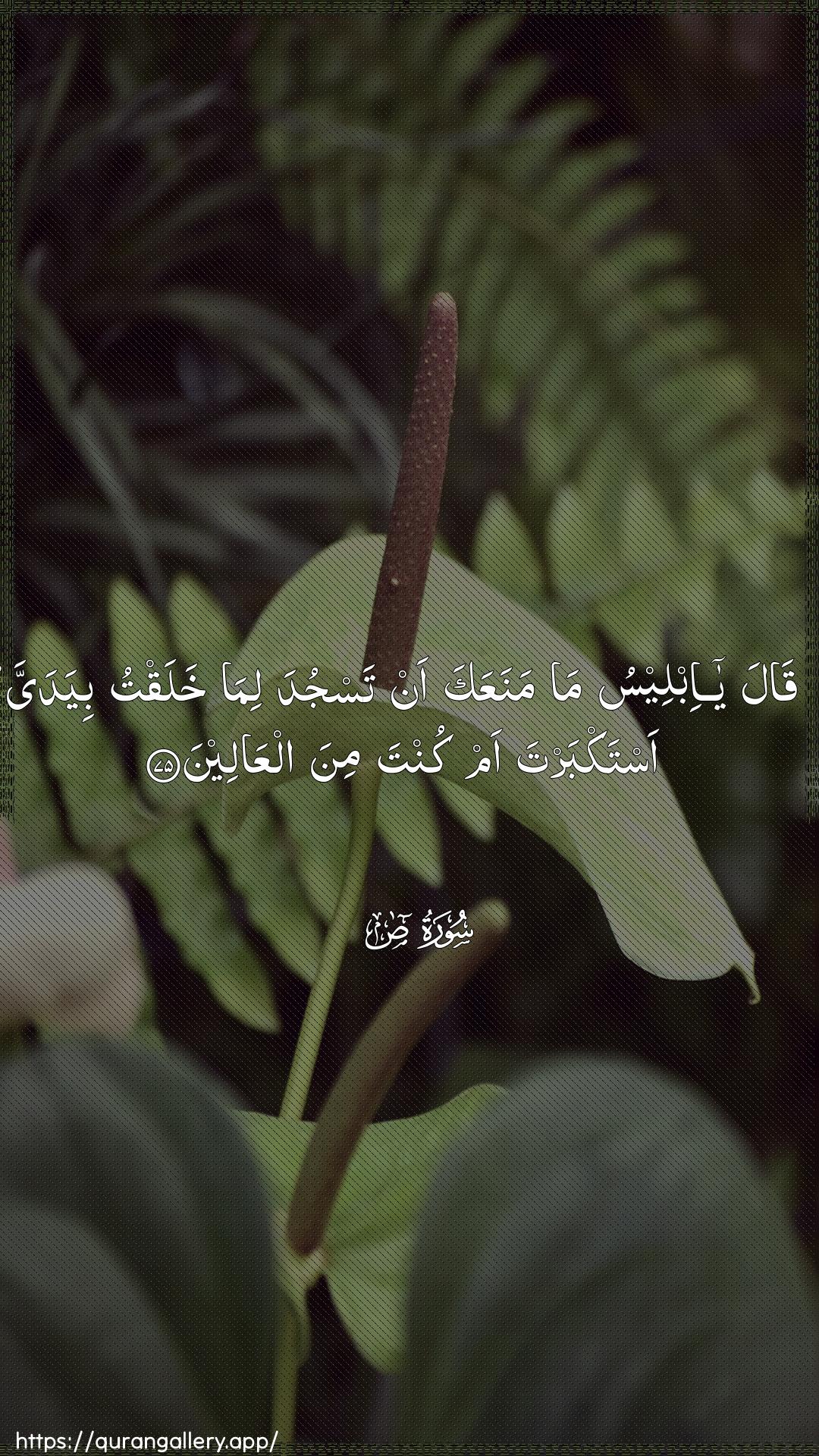 Surah Saad Ayah 75 of 38 HD Wallpaper: Download Beautiful vertical Quran Verse Image | Qala ya ibleesu mamanaAAaka an tasjuda lima khalaqtu biyadayya astakbarta amkunta mina alAAaleen