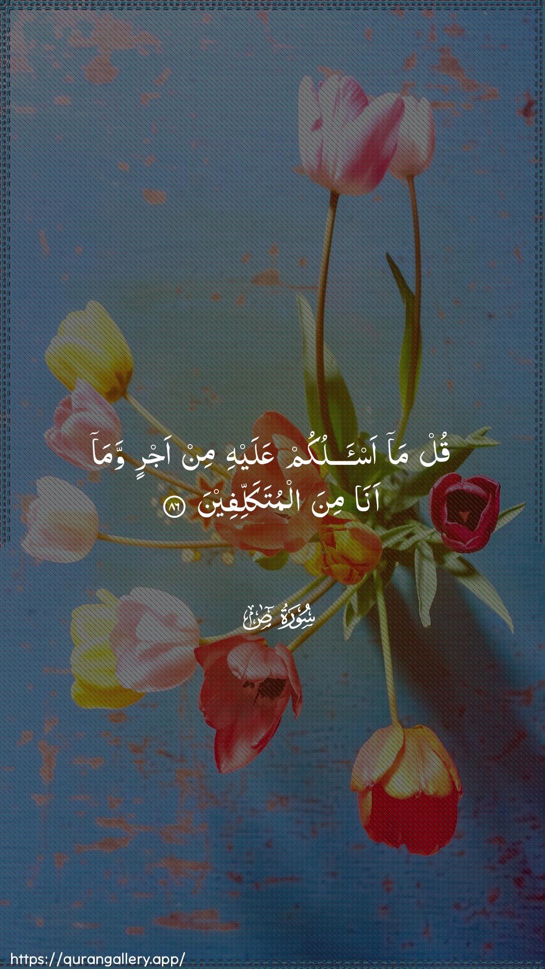 Surah Saad Ayah 86 of 38 HD Wallpaper: Download Beautiful vertical Quran Verse Image | Qul ma as-alukum AAalayhi min ajrinwama ana mina almutakallifeen