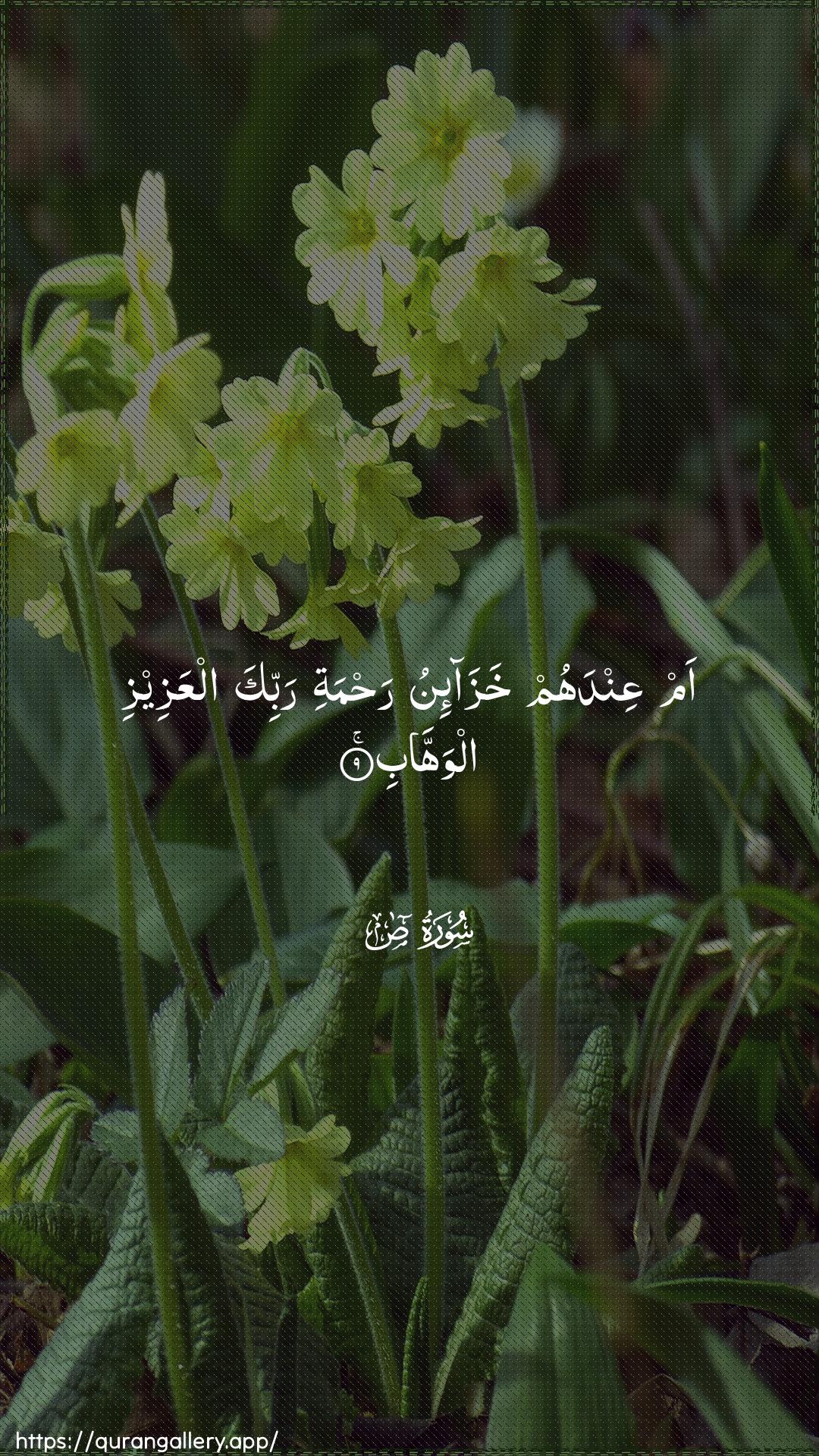 Surah Saad Ayah 9 of 38 HD Wallpaper: Download Beautiful vertical Quran Verse Image | Am AAindahum khaza-inu rahmatirabbika alAAazeezi alwahhab