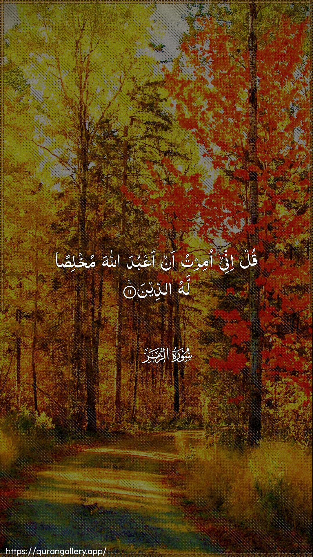 Surah Az-Zumar Ayah 11 of 39 HD Wallpaper: Download Beautiful vertical Quran Verse Image | Qul innee omirtu an aAAbuda Allahamukhlisan lahu addeen