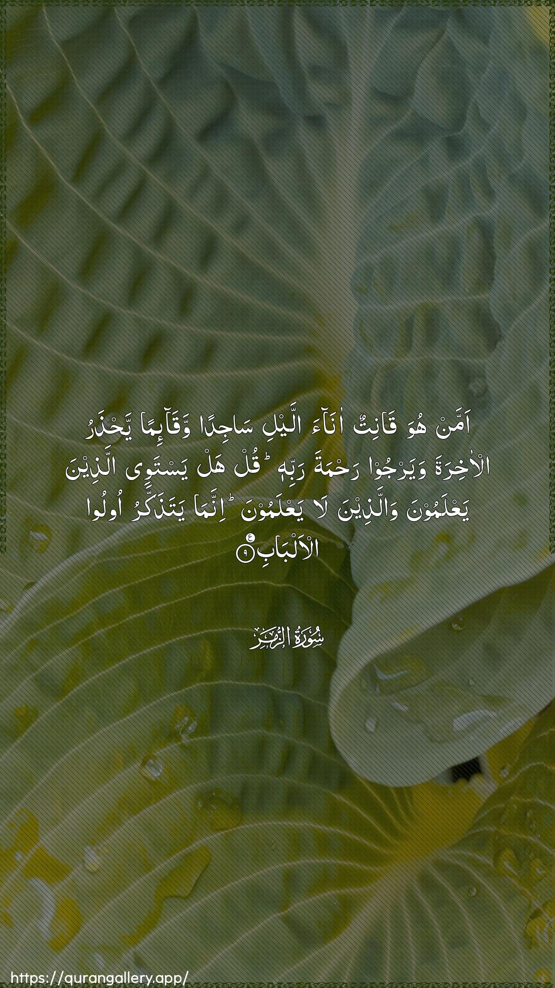 Surah Az-Zumar Ayah 9 of 39 HD Wallpaper: Download Beautiful vertical Quran Verse Image | Amman huwa qanitun anaaallayli sajidan waqa-iman yahtharu al-akhiratawayarjoo rahmata rabbihi qul hal yastawee allatheenayaAAlamoona wallatheena la yaAAlamoonainnama yatathakkaru oloo al-albab