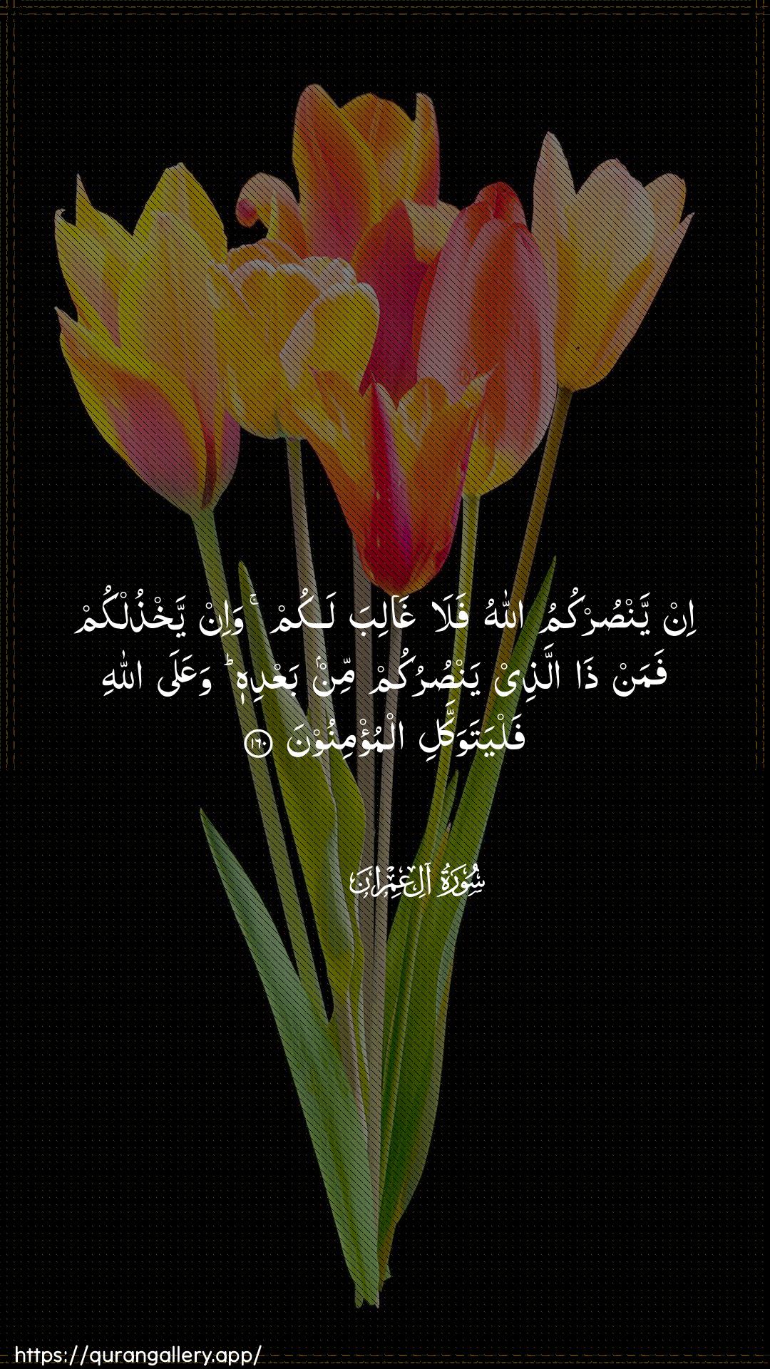 Surah Aal-i-Imraan Ayah 160 of 3 HD Wallpaper: Download Beautiful vertical Quran Verse Image | In yansurkumu Allahu falaghaliba lakum wa-in yakhthulkum faman thaallathee yansurukum min baAAdihi waAAala Allahifalyatawakkali almu/minoon