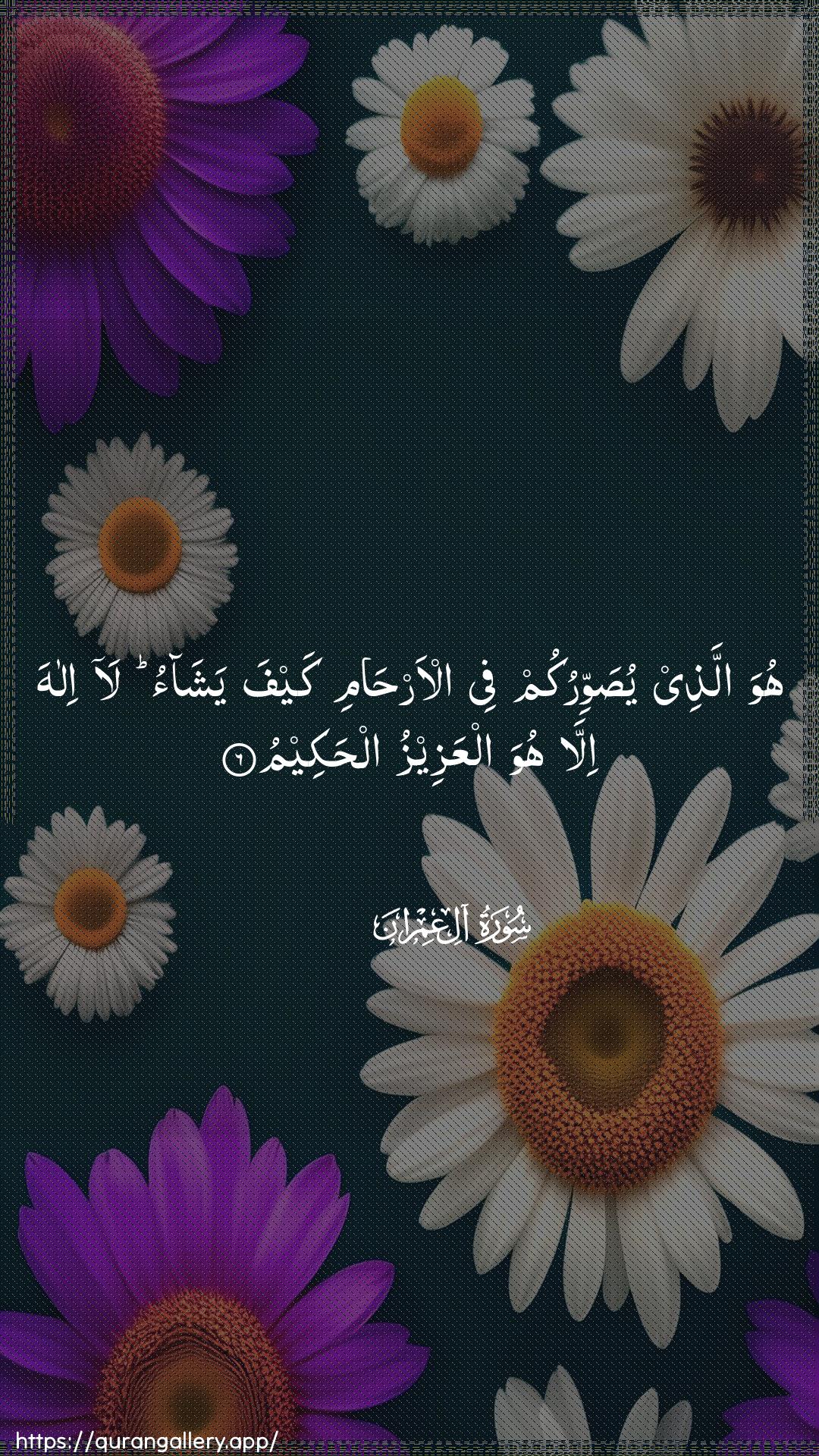 Surah Aal-i-Imraan Ayah 6 of 3 HD Wallpaper: Download Beautiful vertical Quran Verse Image | Huwa allathee yusawwirukum feeal-arhami kayfa yashao la ilaha illahuwa alAAazeezu alhakeem