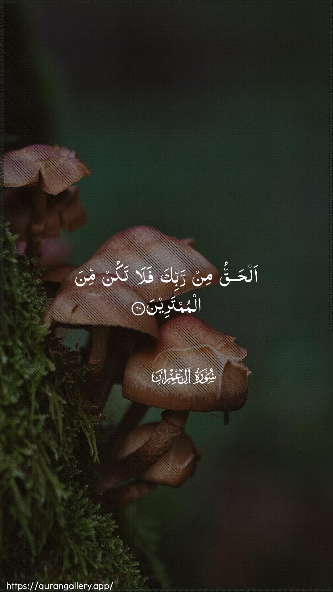 Surah Aal-i-Imraan Ayah 60 of 3 HD Wallpaper: Download Beautiful vertical Quran Verse Image | Alhaqqu min rabbika fala takunmina almumtareen