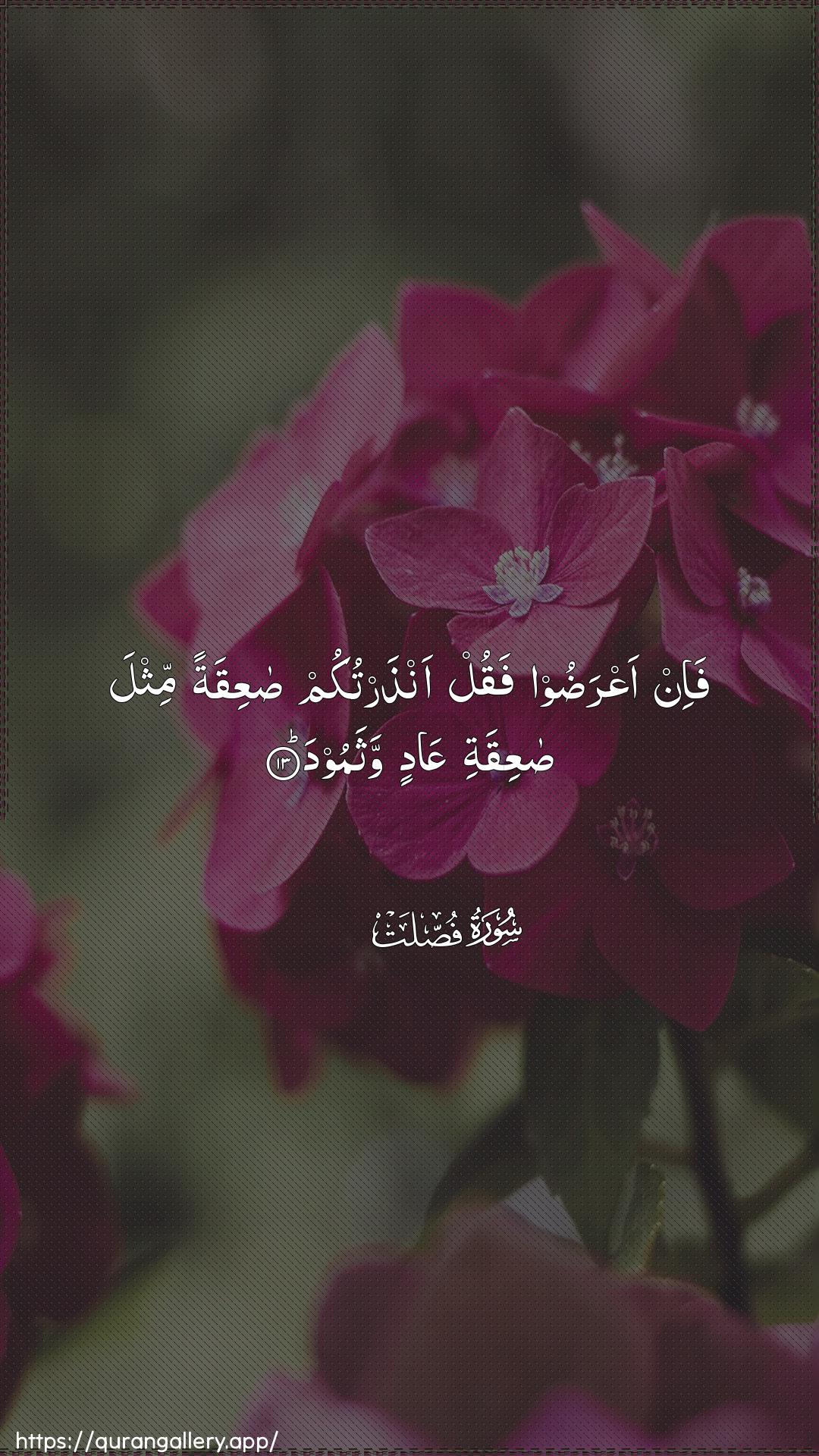 Surah Fussilat Ayah 13 of 41 HD Wallpaper: Download Beautiful vertical Quran Verse Image | Fa-in aAAradoo fuqul anthartukumsaAAiqatan mithla saAAiqati AAadin wathamood