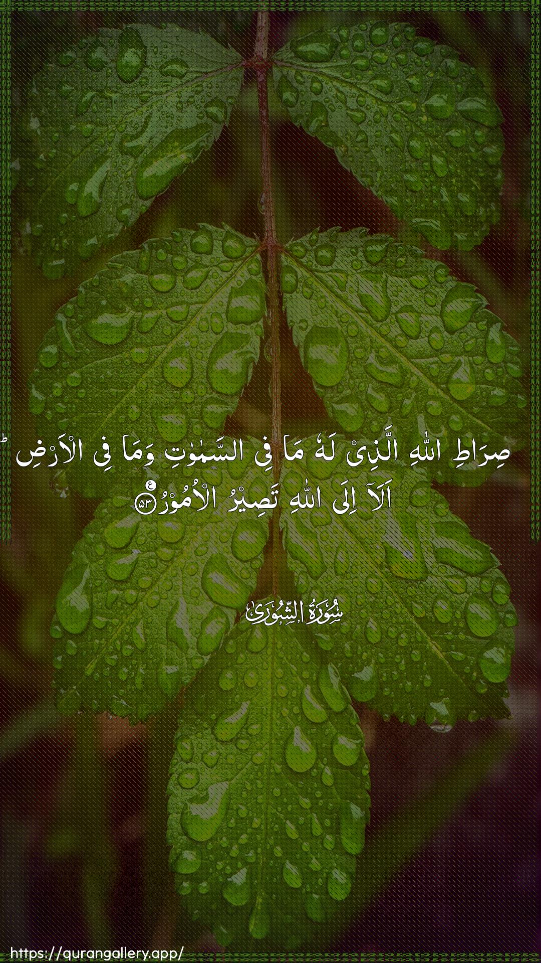 Surah Ash-Shura Ayah 53 of 42 HD Wallpaper: Download Beautiful vertical Quran Verse Image | Sirati Allahi allatheelahu ma fee assamawati wamafee al-ardi ala ila Allahi taseerual-omoor