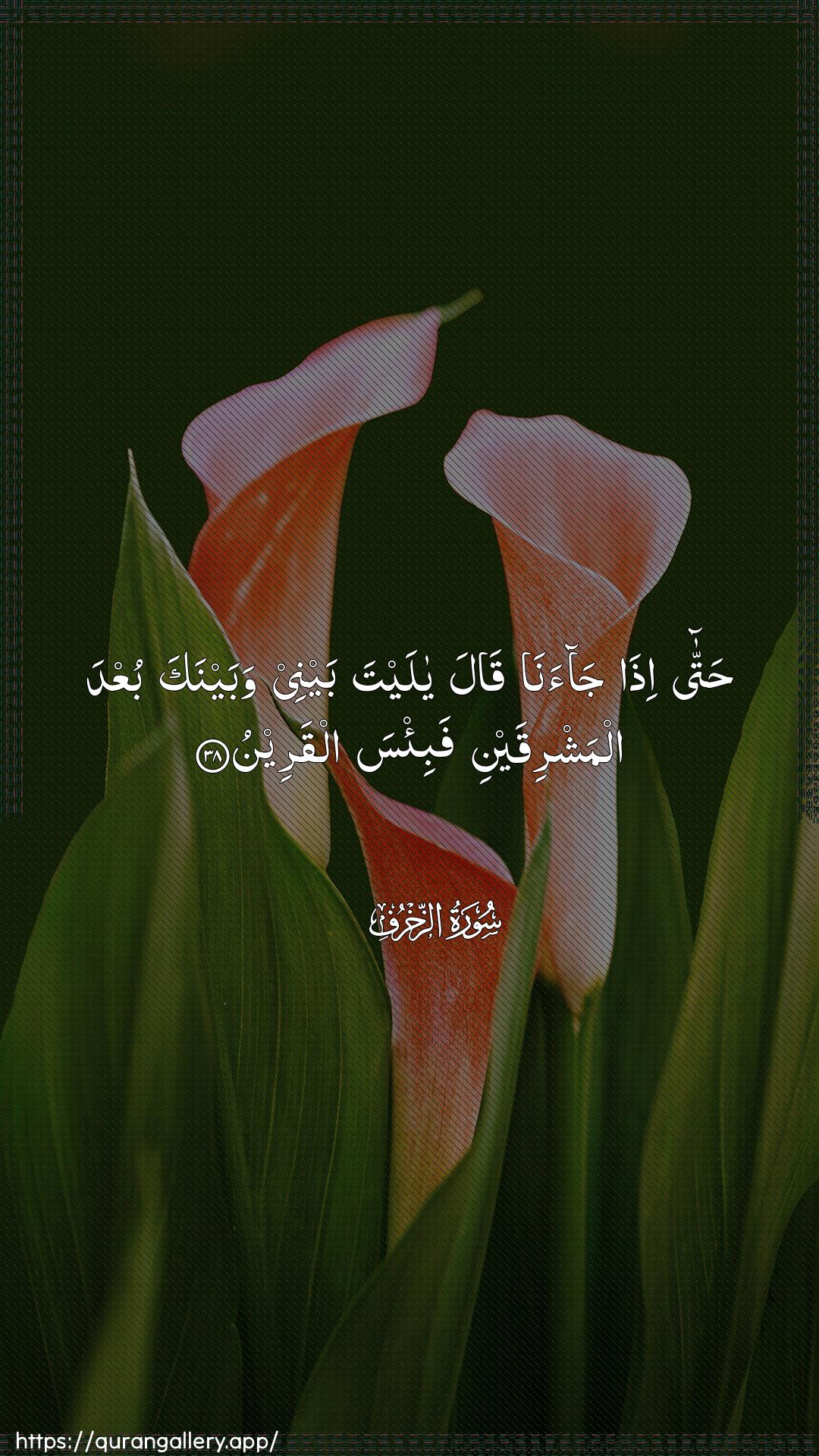 Surah Az-Zukhruf Ayah 38 of 43 HD Wallpaper: Download Beautiful vertical Quran Verse Image | Hatta itha jaanaqala ya layta baynee wabaynaka buAAda almashriqaynifabi/sa alqareen