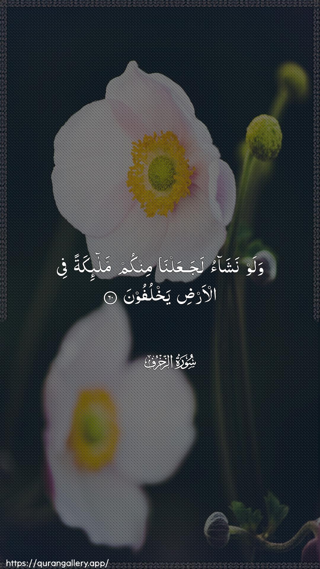 Surah Az-Zukhruf Ayah 60 of 43 HD Wallpaper: Download Beautiful vertical Quran Verse Image | Walaw nashao lajaAAalna minkummala-ikatan fee al-ardi yakhlufoon