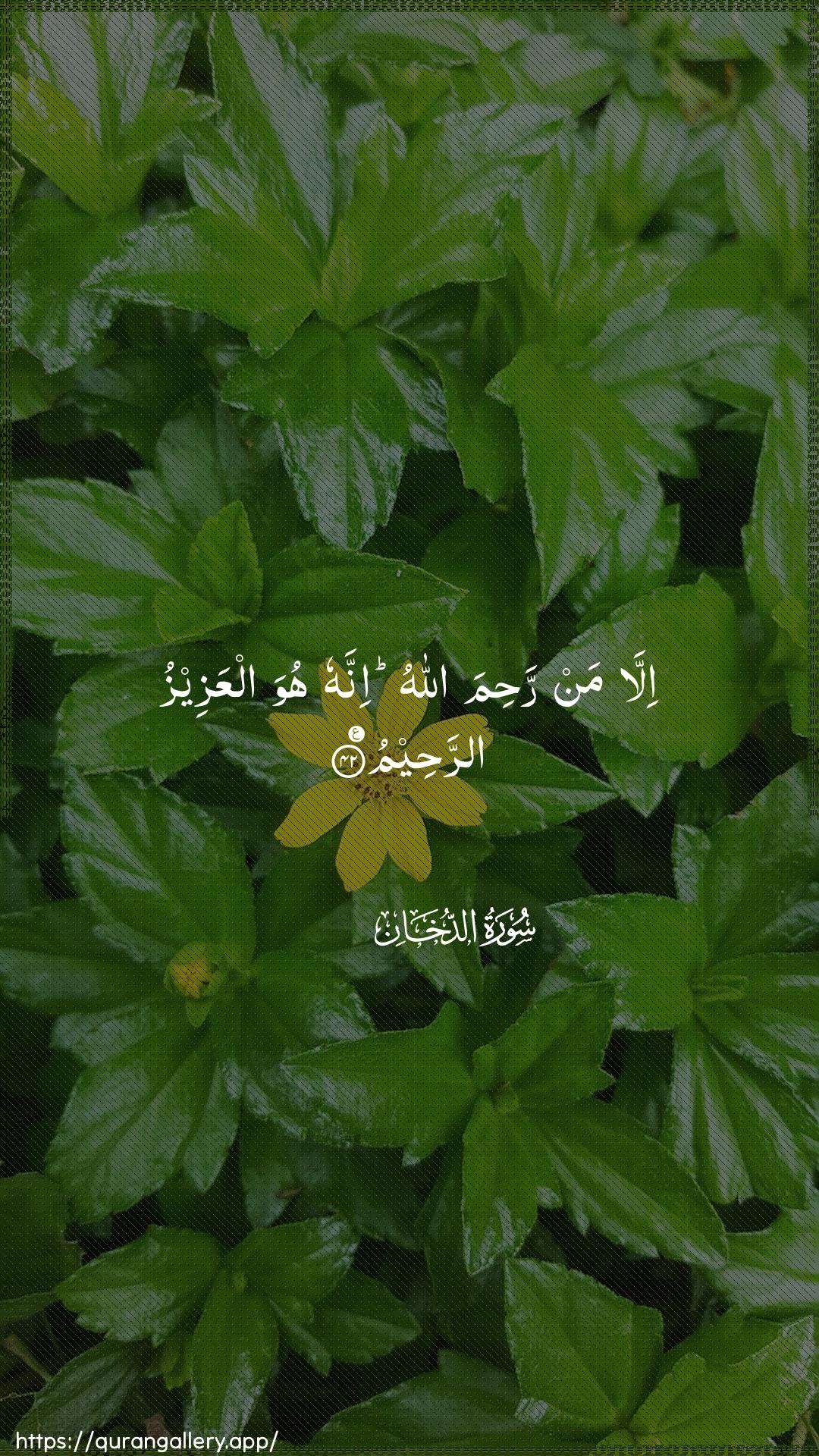 Surah Ad-Dukhaan Ayah 42 of 44 HD Wallpaper: Download Beautiful vertical Quran Verse Image | Illa man rahima Allahuinnahu huwa alAAazeezu arraheem