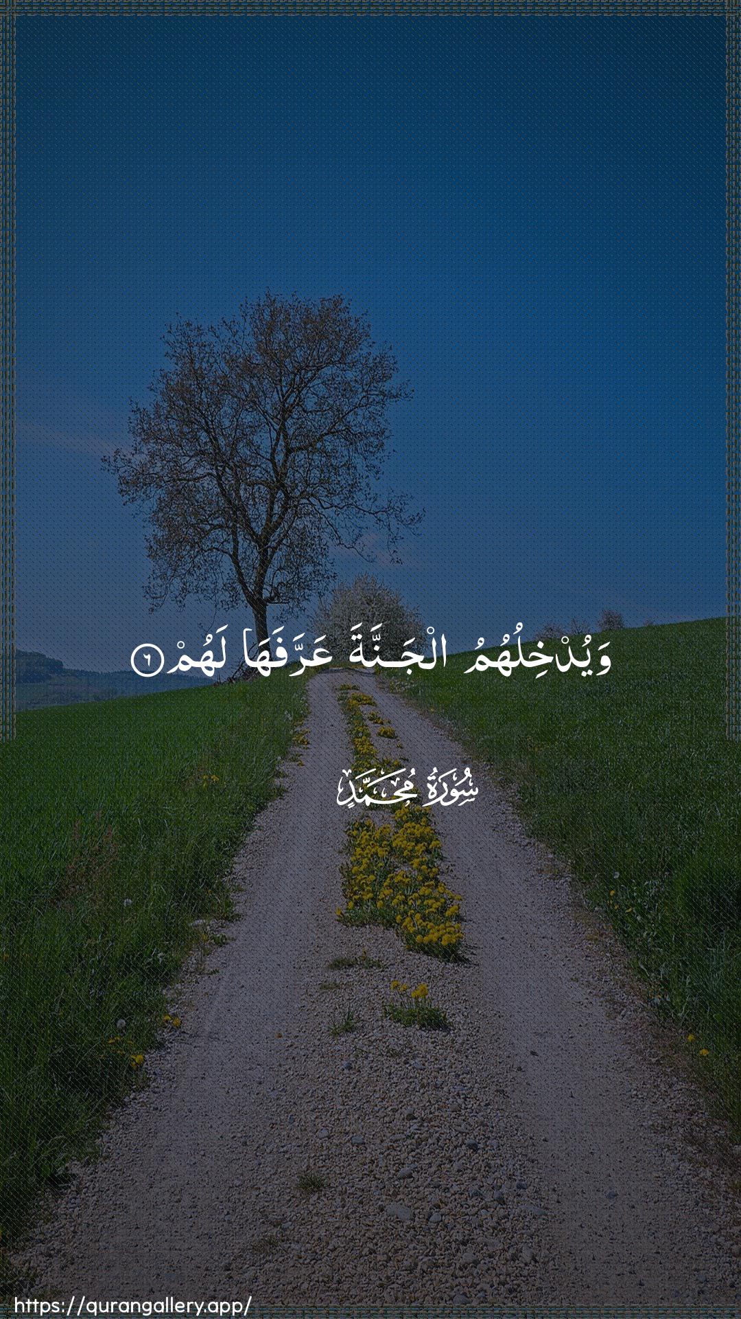 Surah Muhammad Ayah 6 of 47 HD Wallpaper: Download Beautiful vertical Quran Verse Image | Wayudkhiluhumu aljannata AAarrafahalahum