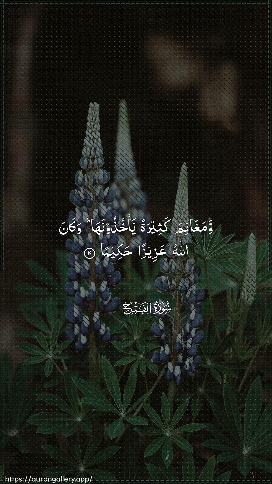 Surah Al-Fath Ayah 19 of 48 HD Wallpaper: Download Beautiful vertical Quran Verse Image | Wamaghanima katheeratan ya/khuthoonahawakana Allahu AAazeezan hakeema