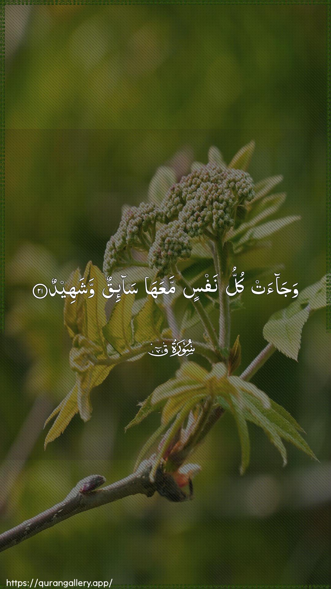 Surah Qaaf Ayah 21 of 50 HD Wallpaper: Download Beautiful vertical Quran Verse Image | Wajaat kullu nafsin maAAaha sa-iqunwashaheed