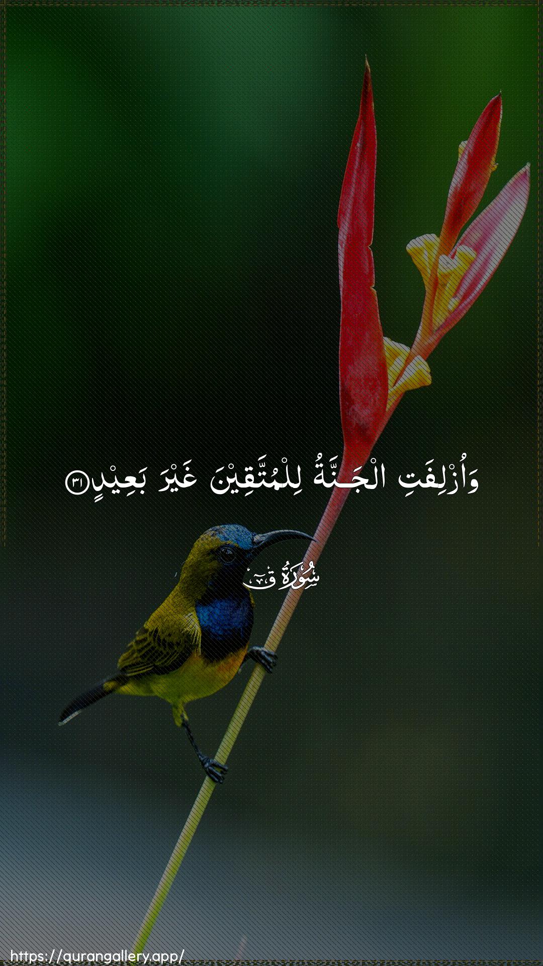 Surah Qaaf Ayah 31 of 50 HD Wallpaper: Download Beautiful vertical Quran Verse Image | Waozlifati aljannatu lilmuttaqeena ghayrabaAAeed