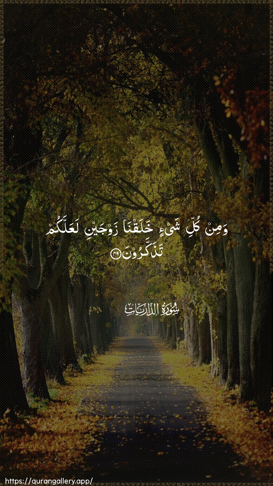 Surah Adh-Dhaariyat Ayah 49 of 51 HD Wallpaper: Download Beautiful vertical Quran Verse Image | Wamin kulli shay-in khalaqna zawjaynilaAAallakum tathakkaroon