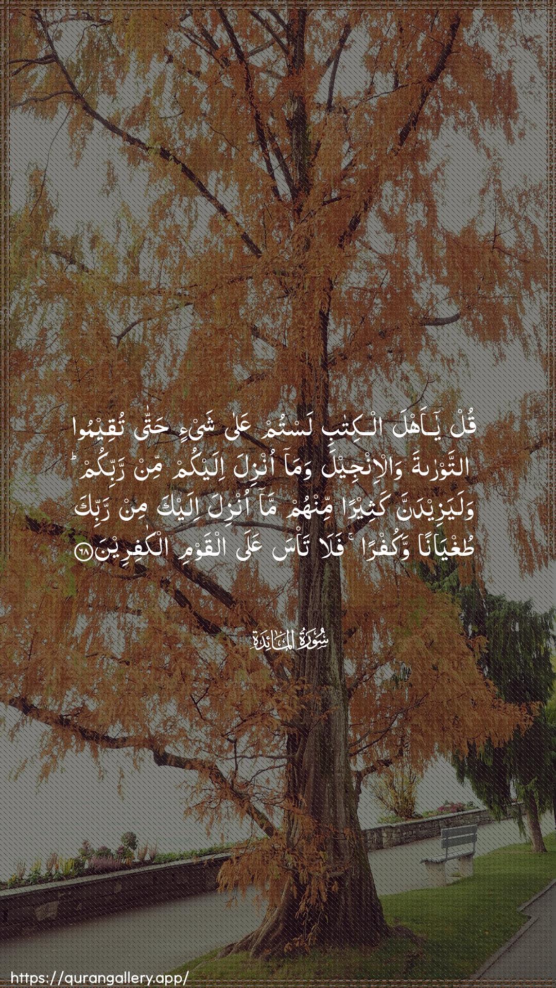 Surah Al-Maaida Ayah 68 of 5 HD Wallpaper: Download Beautiful vertical Quran Verse Image | Qul ya ahla alkitabi lastumAAala shay-in hatta tuqeemoo attawratawal-injeela wama onzila ilaykum min rabbikumwalayazeedanna katheeran minhum ma onzila ilayka minrabbika tughyanan wakufran fala ta/sa AAalaalqawmi alkafireen