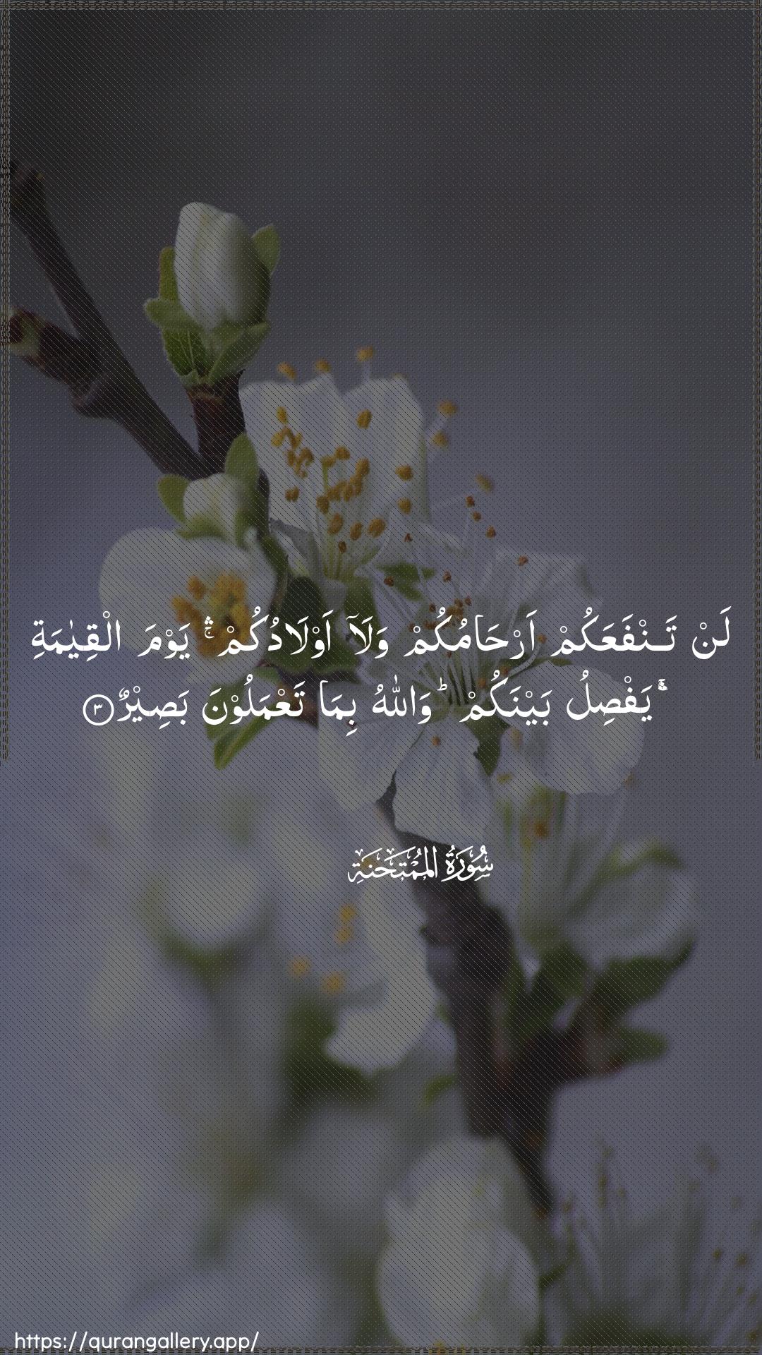 Surah Al-Mumtahana Ayah 3 of 60 HD Wallpaper: Download Beautiful vertical Quran Verse Image | Lan tanfaAAakum arhamukum walaawladukum yawma alqiyamati yafsilu baynakumwallahu bima taAAmaloona baseer