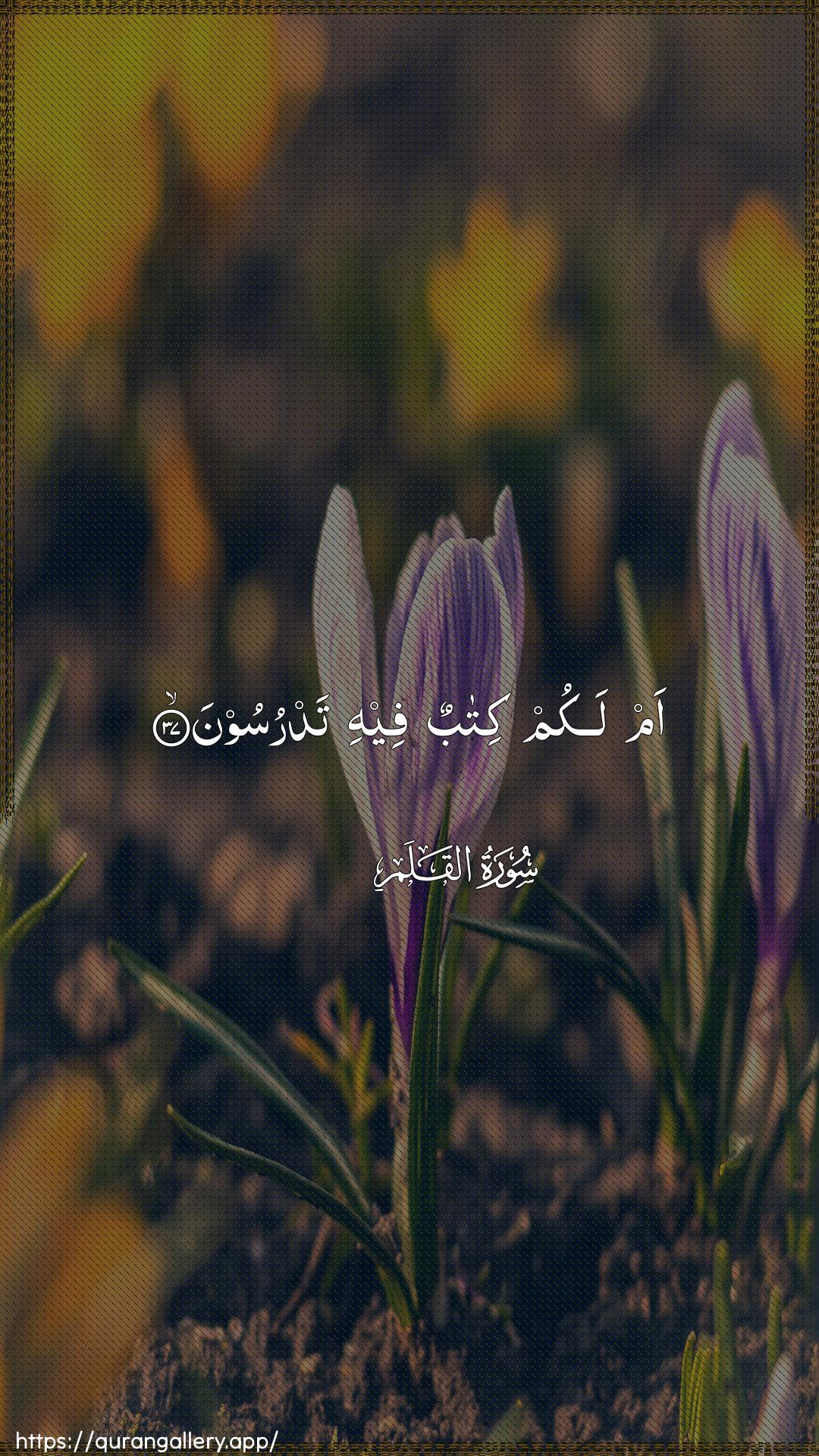 Surah Al-Qalam Ayah 37 of 68 HD Wallpaper: Download Beautiful vertical Quran Verse Image | Am lakum kitabun feehi tadrusoon