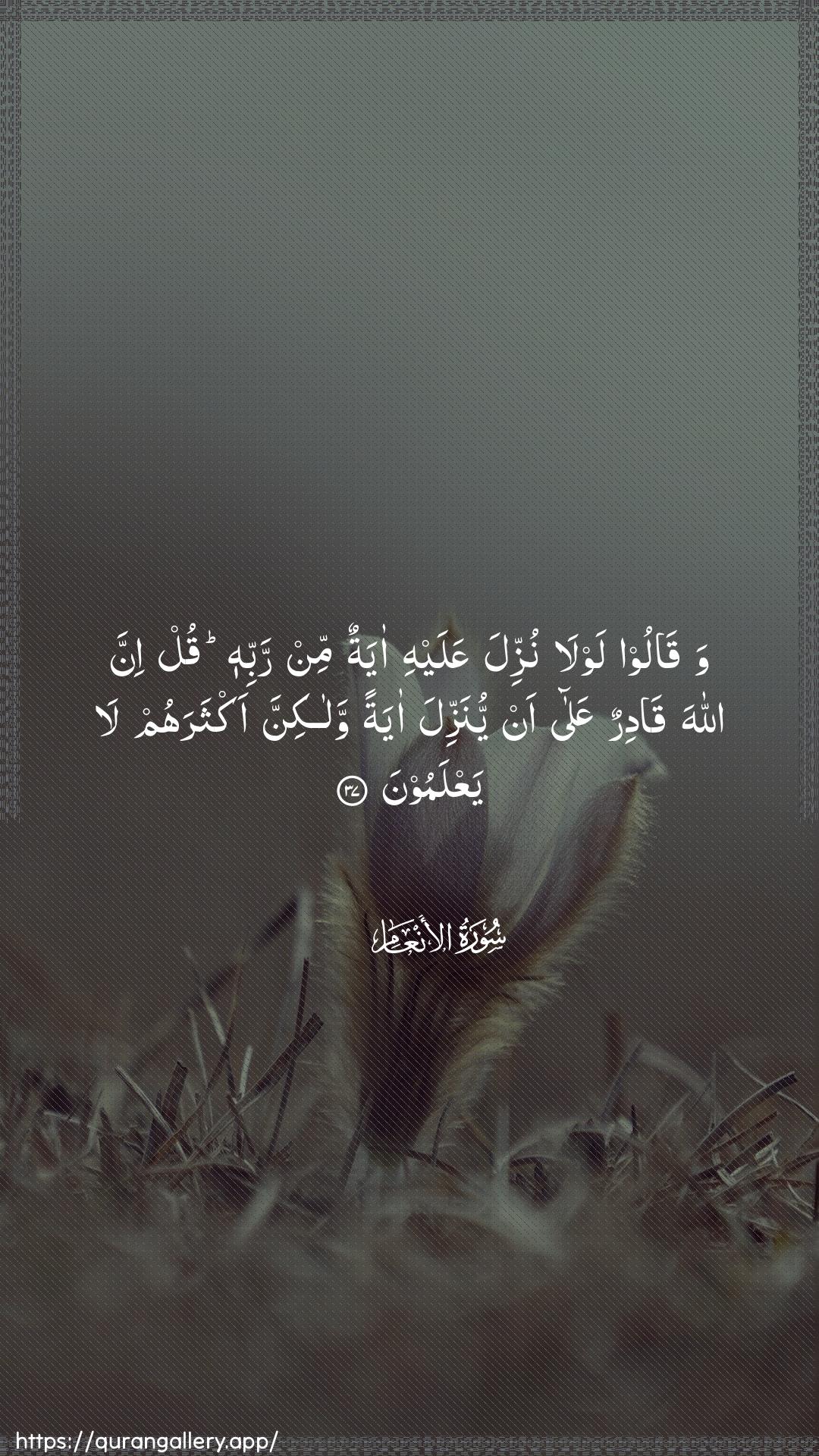 Surah Al-An"aam Ayah 37 of 6 HD Wallpaper: Download Beautiful vertical Quran Verse Image | Waqaloo lawla nuzzila AAalayhiayatun min rabbihi qul inna Allaha qadirunAAala an yunazzila ayatan walakinnaaktharahum la yaAAlamoon