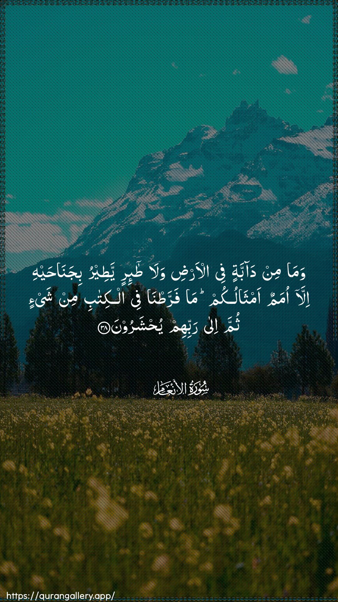 Surah Al-An"aam Ayah 38 of 6 HD Wallpaper: Download Beautiful vertical Quran Verse Image | Wama min dabbatin fee al-ardiwala ta-irin yateeru bijanahayhi illaomamun amthalukum ma farratna feealkitabi min shay-in thumma ila rabbihim yuhsharoon