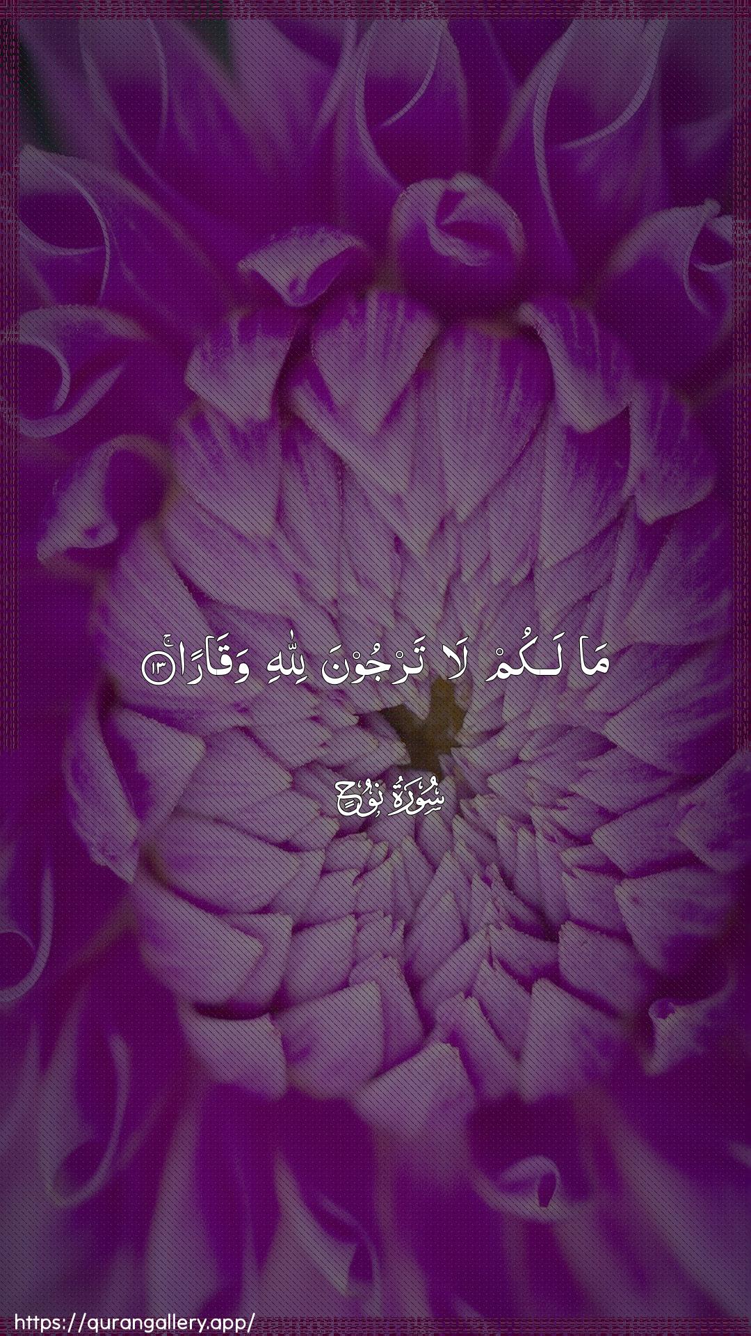 Surah Nooh Ayah 13 of 71 HD Wallpaper: Download Beautiful vertical Quran Verse Image | Ma lakum la tarjoona lillahiwaqara