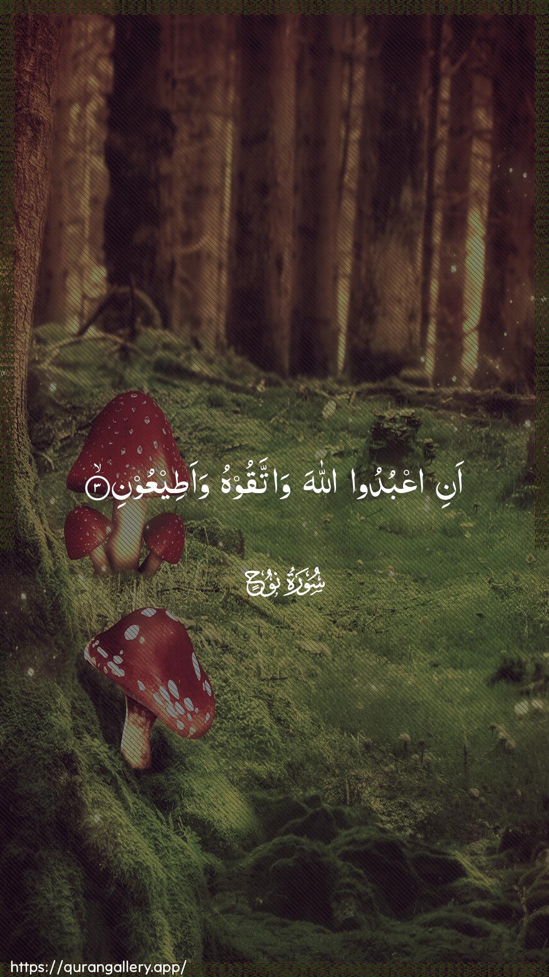 Surah Nooh Ayah 3 of 71 HD Wallpaper: Download Beautiful vertical Quran Verse Image | Ani oAAbudoo Allaha wattaqoohuwaateeAAoon