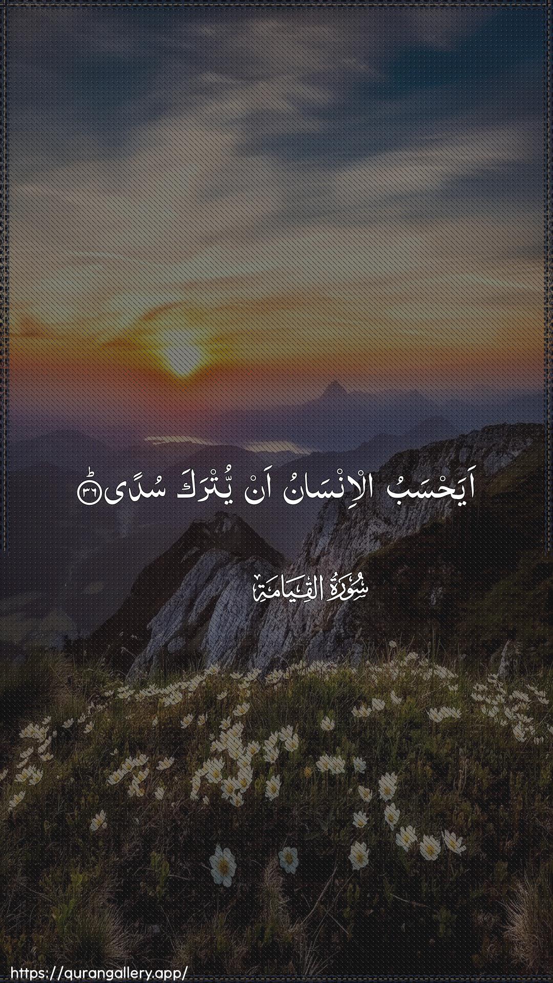 Surah Al-Qiyaama Ayah 36 of 75 HD Wallpaper: Download Beautiful vertical Quran Verse Image | Ayahsabu al-insanu an yutrakasuda