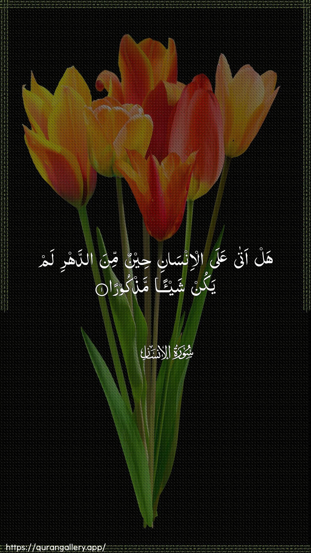 Surah Al-Insaan Ayah 1 of 76 HD Wallpaper: Download Beautiful vertical Quran Verse Image | Hal ata AAala al-insani heenunmina addahri lam yakun shay-an mathkoora