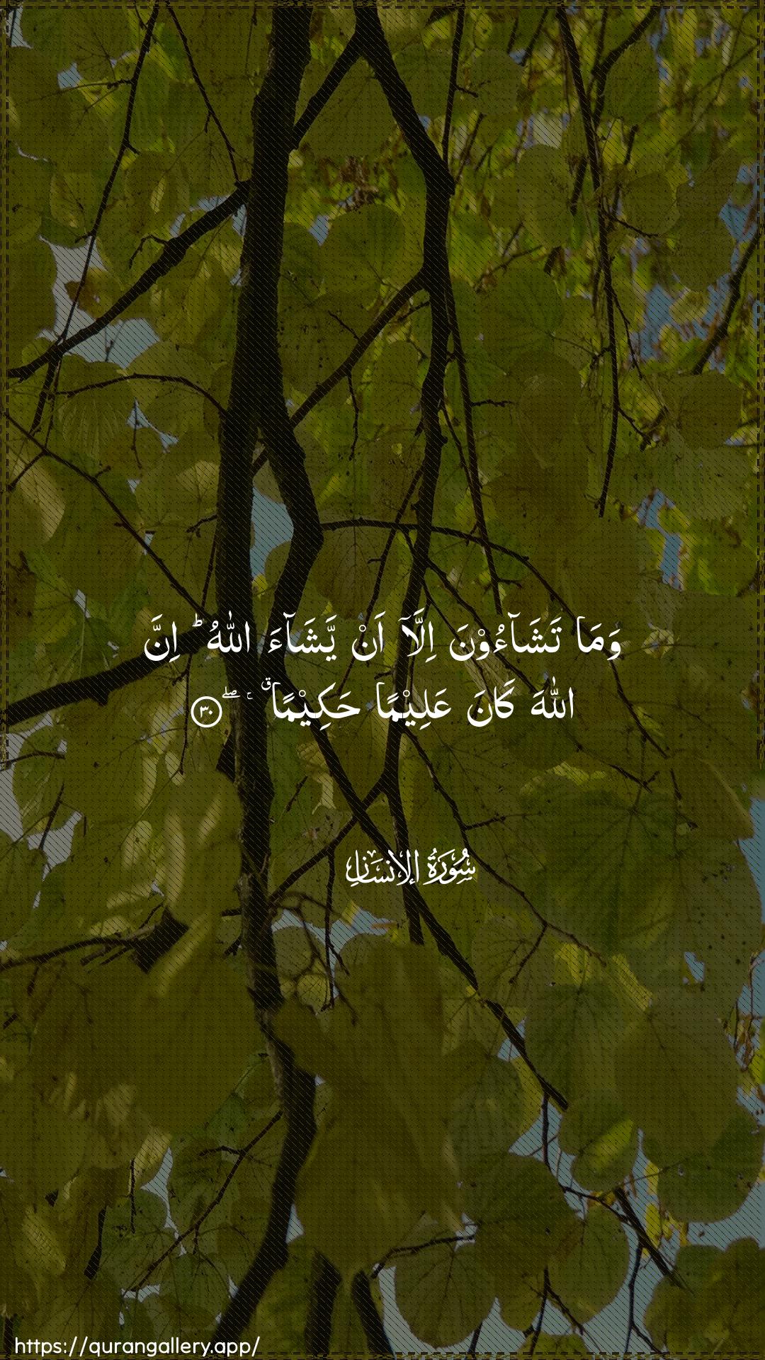 Surah Al-Insaan Ayah 30 of 76 HD Wallpaper: Download Beautiful vertical Quran Verse Image | Wama tashaoona illa anyashaa Allahu inna Allaha kanaAAaleeman hakeema