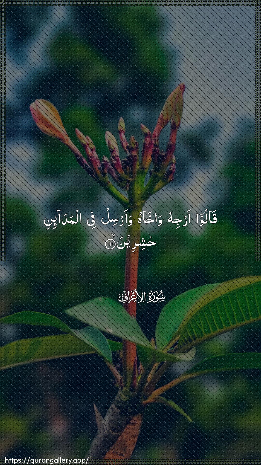 Surah Al-A"raaf Ayah 111 of 7 HD Wallpaper: Download Beautiful vertical Quran Verse Image | Qaloo arjih waakhahu waarsilfee almada-ini hashireen