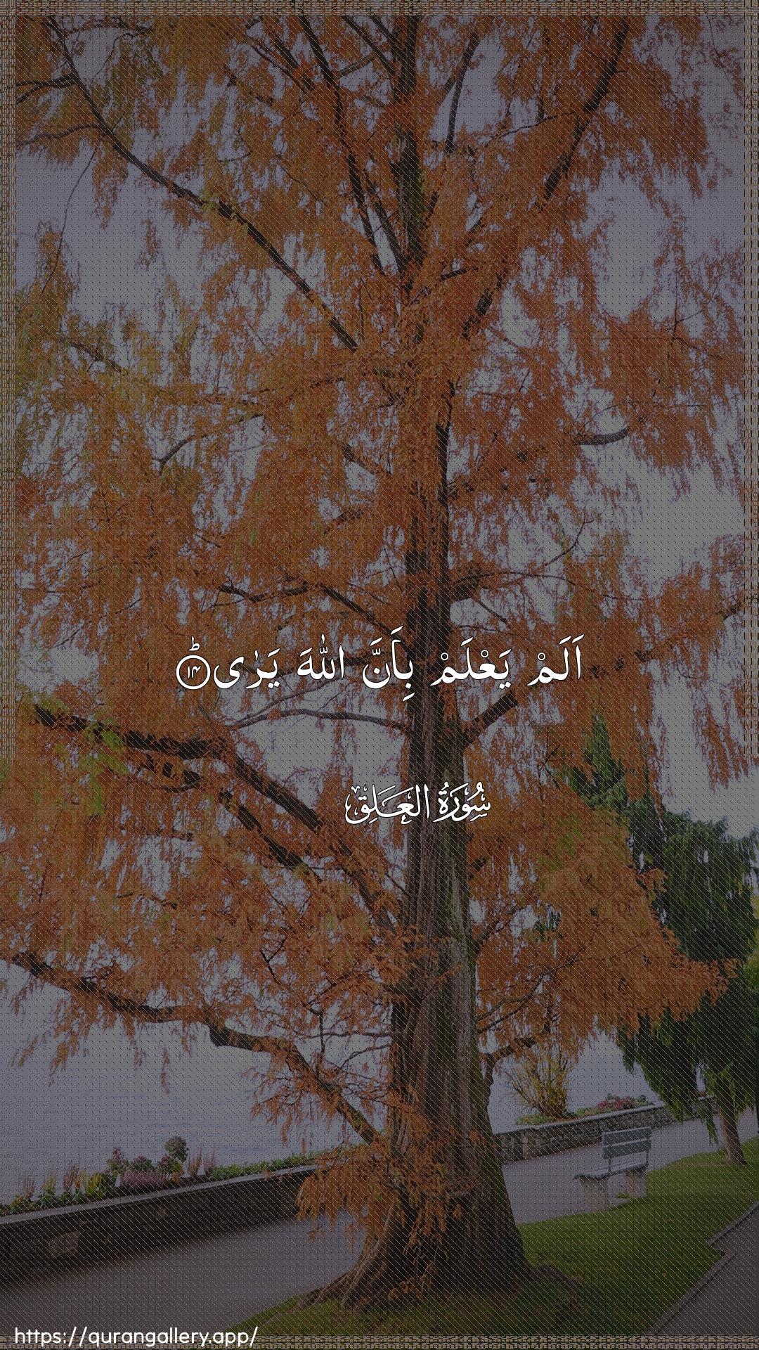 Surah Al-Alaq Ayah 14 of 96 HD Wallpaper: Download Beautiful vertical Quran Verse Image | Alam yaAAlam bi-anna Allaha yara