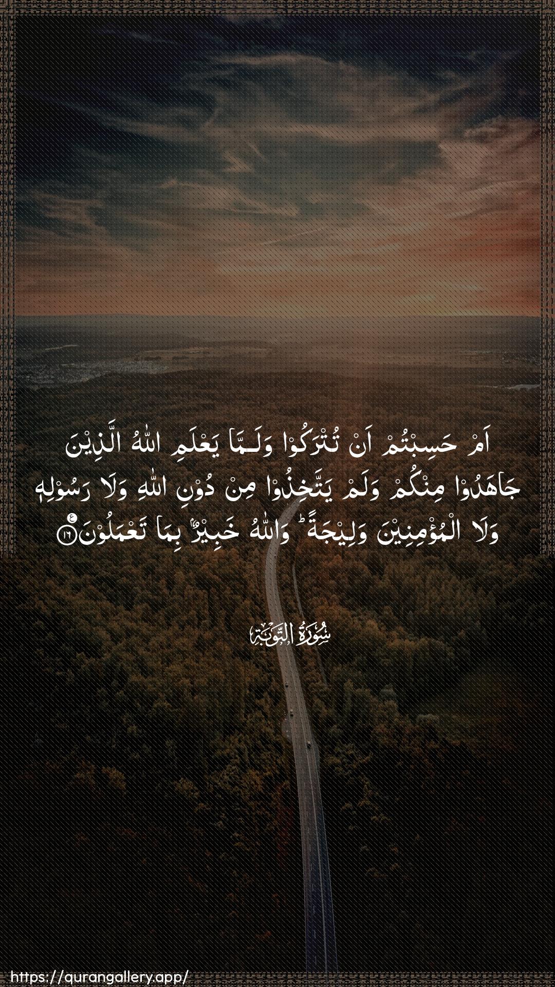 Surah At-Tawba Ayah 16 of 9 HD Wallpaper: Download Beautiful vertical Quran Verse Image | Am hasibtum an tutrakoo walammayaAAlami Allahu allatheena jahadoo minkumwalam yattakhithoo min dooni Allahi walarasoolihi wala almu/mineena waleejatan wallahukhabeerun bima taAAmaloon