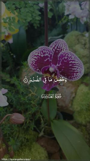 Al-Aadiyaat Ayah 10 - Arabic wallpaper