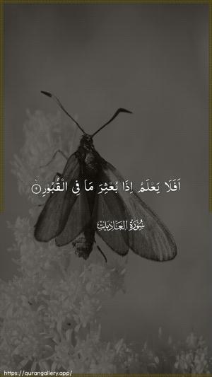 Al-Aadiyaat Ayah 9 - Arabic wallpaper