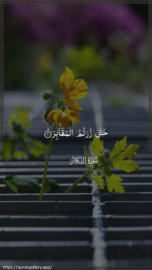 At-Takaathur Ayah 2 - Arabic wallpaper