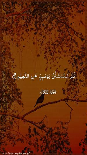 At-Takaathur Ayah 8 - Arabic wallpaper