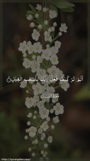 Al-Fil Ayah 1 - Arabic wallpaper