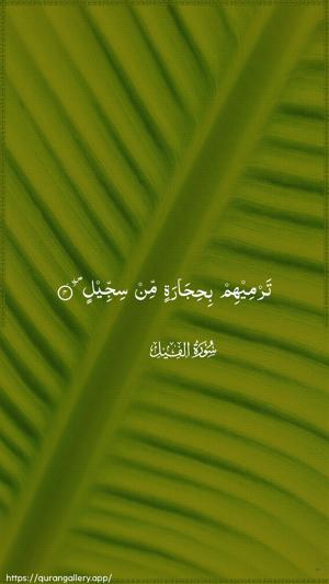Al-Fil Ayah 4 - Arabic wallpaper