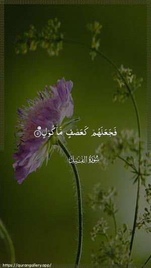 Al-Fil Ayah 5 - Arabic wallpaper