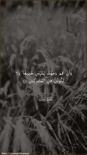 Yunus Ayah 105 - Arabic wallpaper