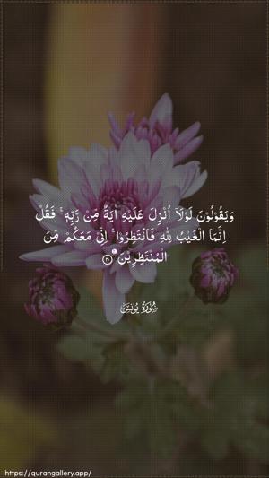 Yunus Ayah 20 - Arabic wallpaper