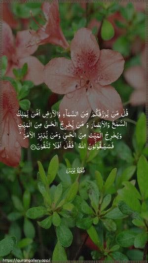 Yunus Ayah 31 - Arabic wallpaper
