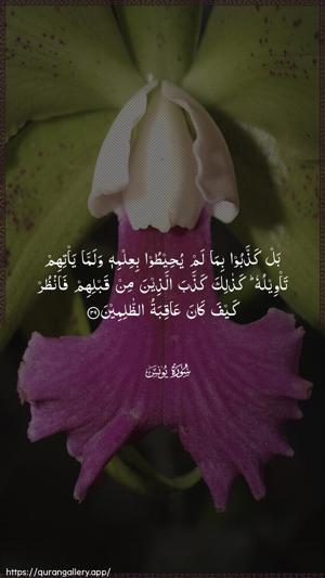 Yunus Ayah 39 - Arabic wallpaper