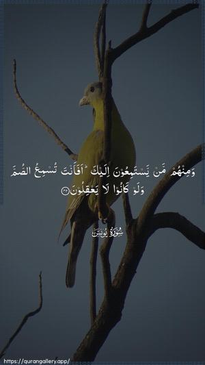 Yunus Ayah 42 - Arabic wallpaper