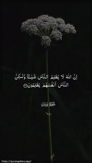Yunus Ayah 44 - Arabic wallpaper