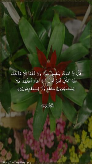 Yunus Ayah 49 - Arabic wallpaper
