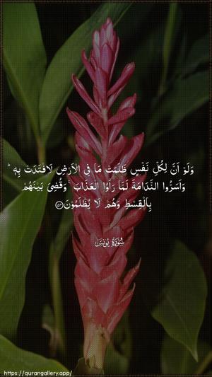 Yunus Ayah 54 - Arabic wallpaper