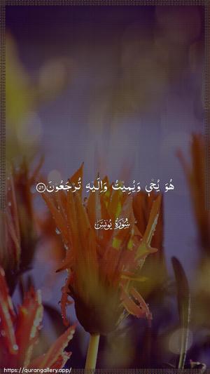 Yunus Ayah 56 - Arabic wallpaper
